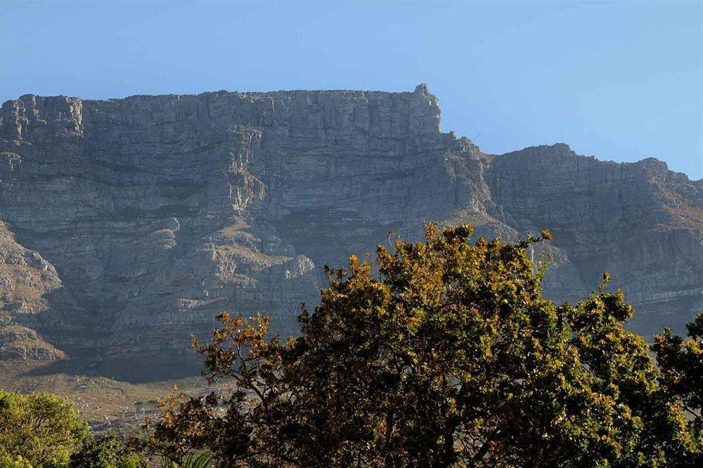 Three Boutique Hotel Cape Town Exterior photo
